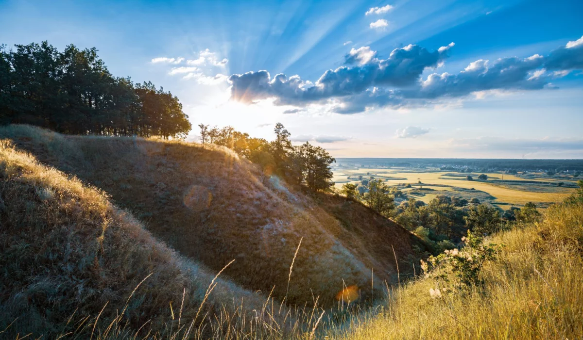 A Co Jeśli Mógłbyś robić tanie pozycjonowanie Już Za 7 Dni?
