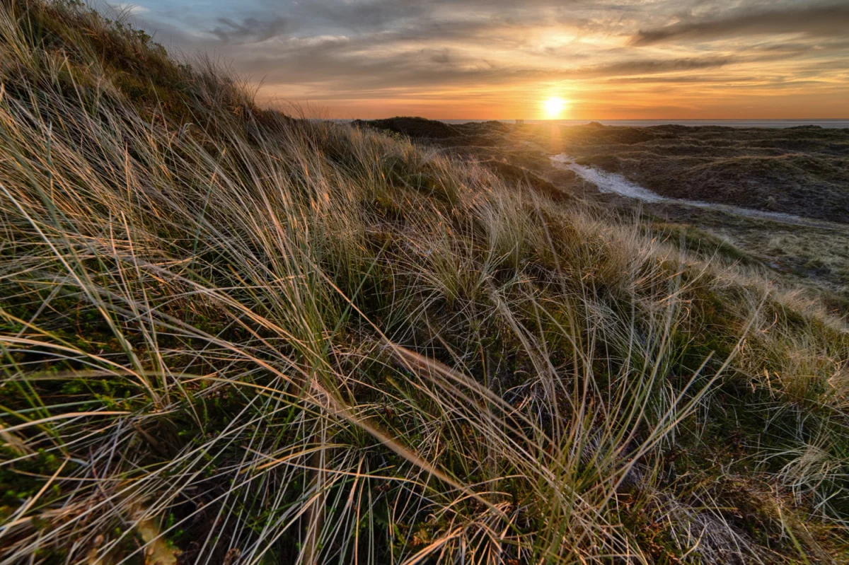 W 2024 można dobrze  wyposażyć mieszkanie ale czy za za 10 lat też?