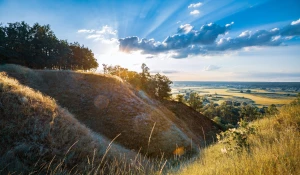 Rok 2024 - czy  kupić wyposażenie domu?